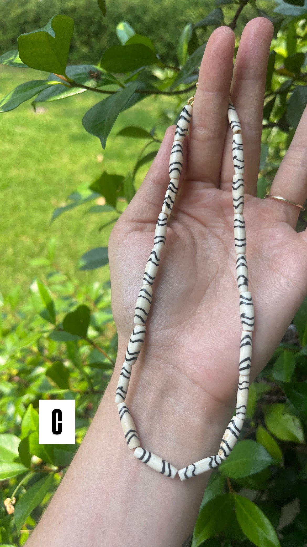 Patterned Bone Collection
