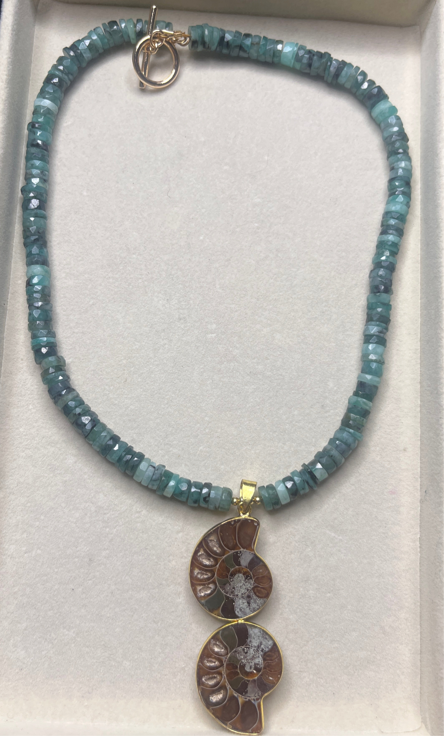 Turquoise + Nautilus