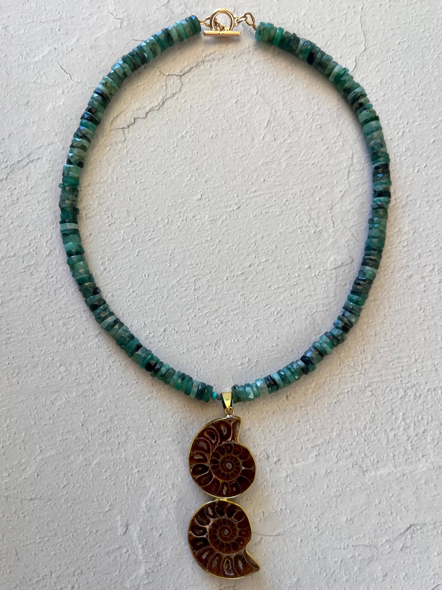 Turquoise + Nautilus