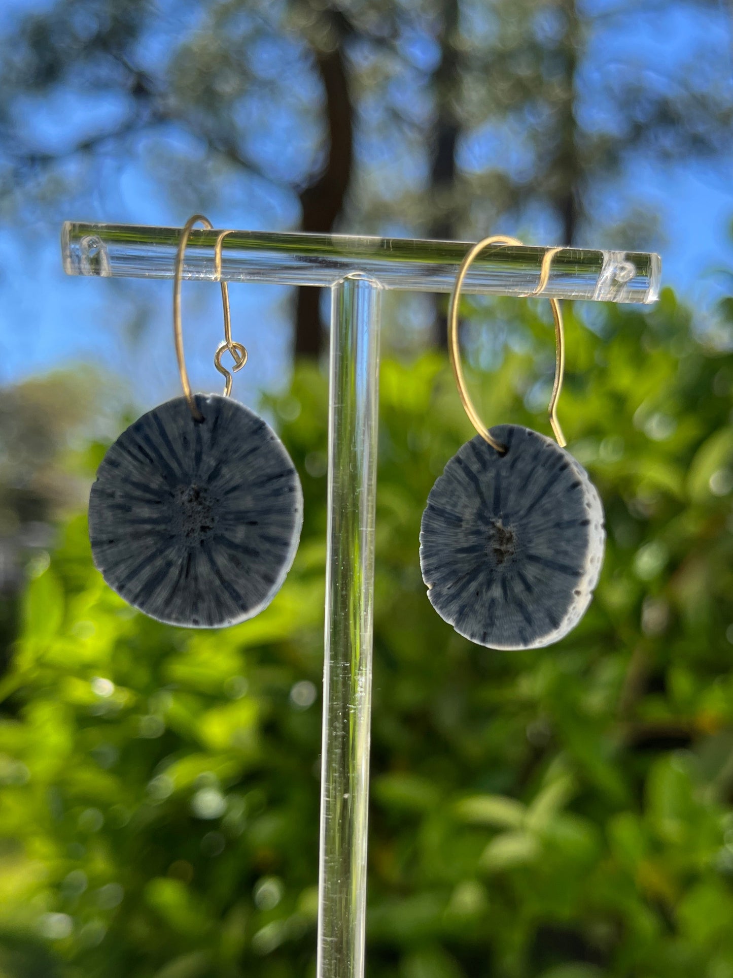 Mini hoops- Sponge Coral Disk