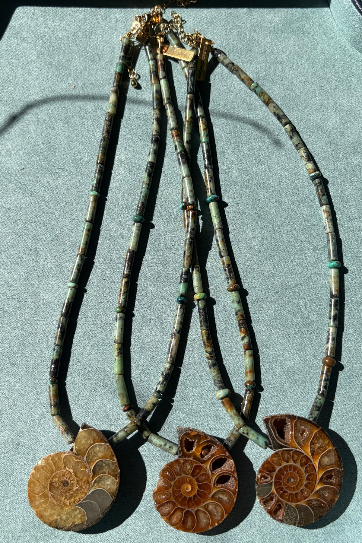 African Turquoise + Ammonite