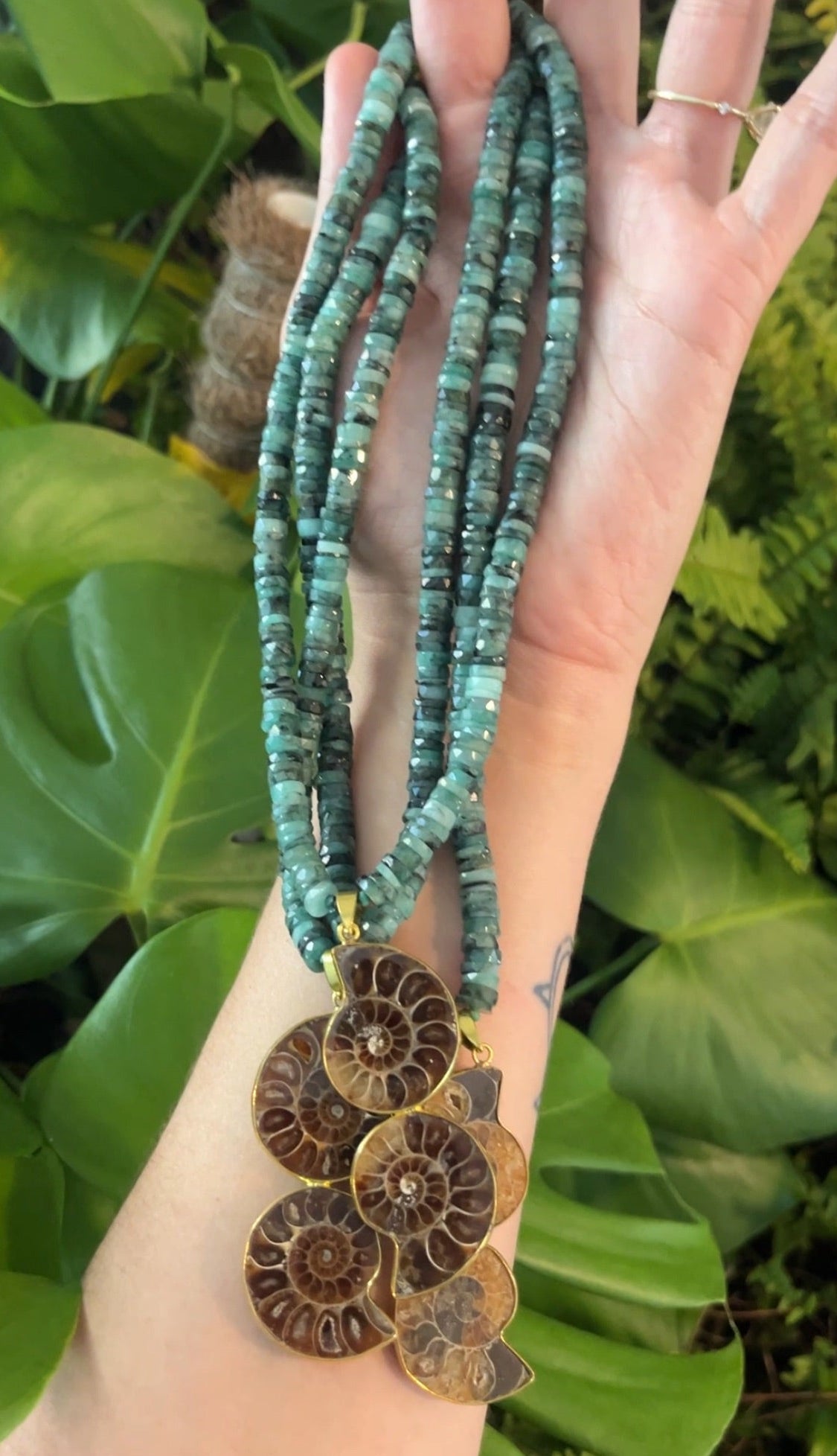 Turquoise + Nautilus