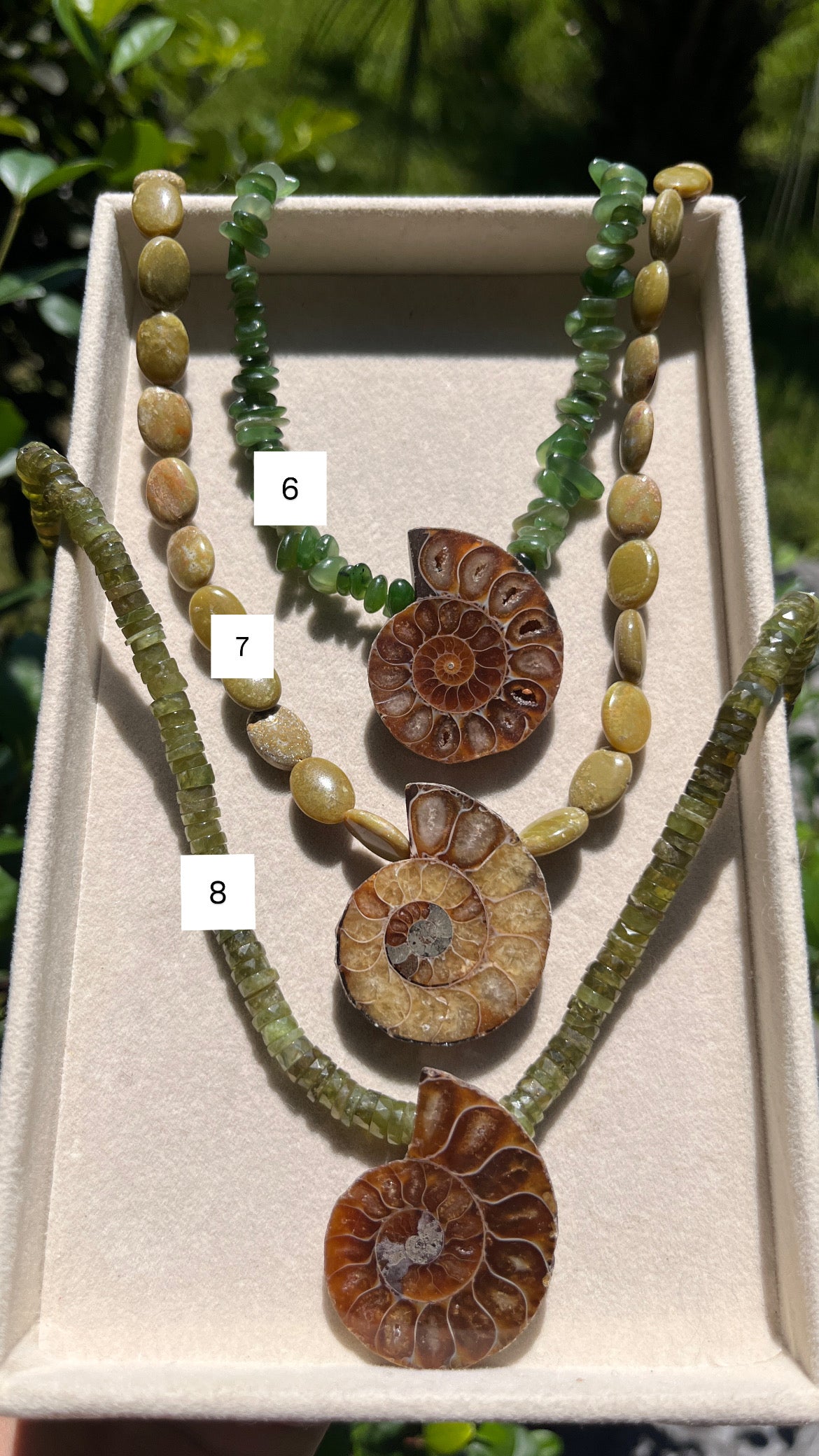 Nautilus Collection
