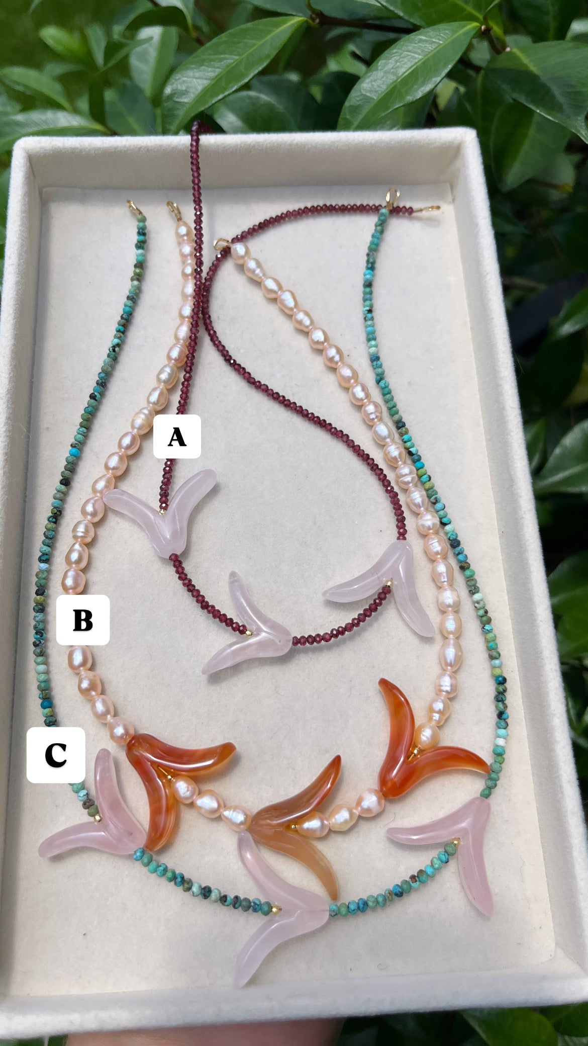 Petal Collection