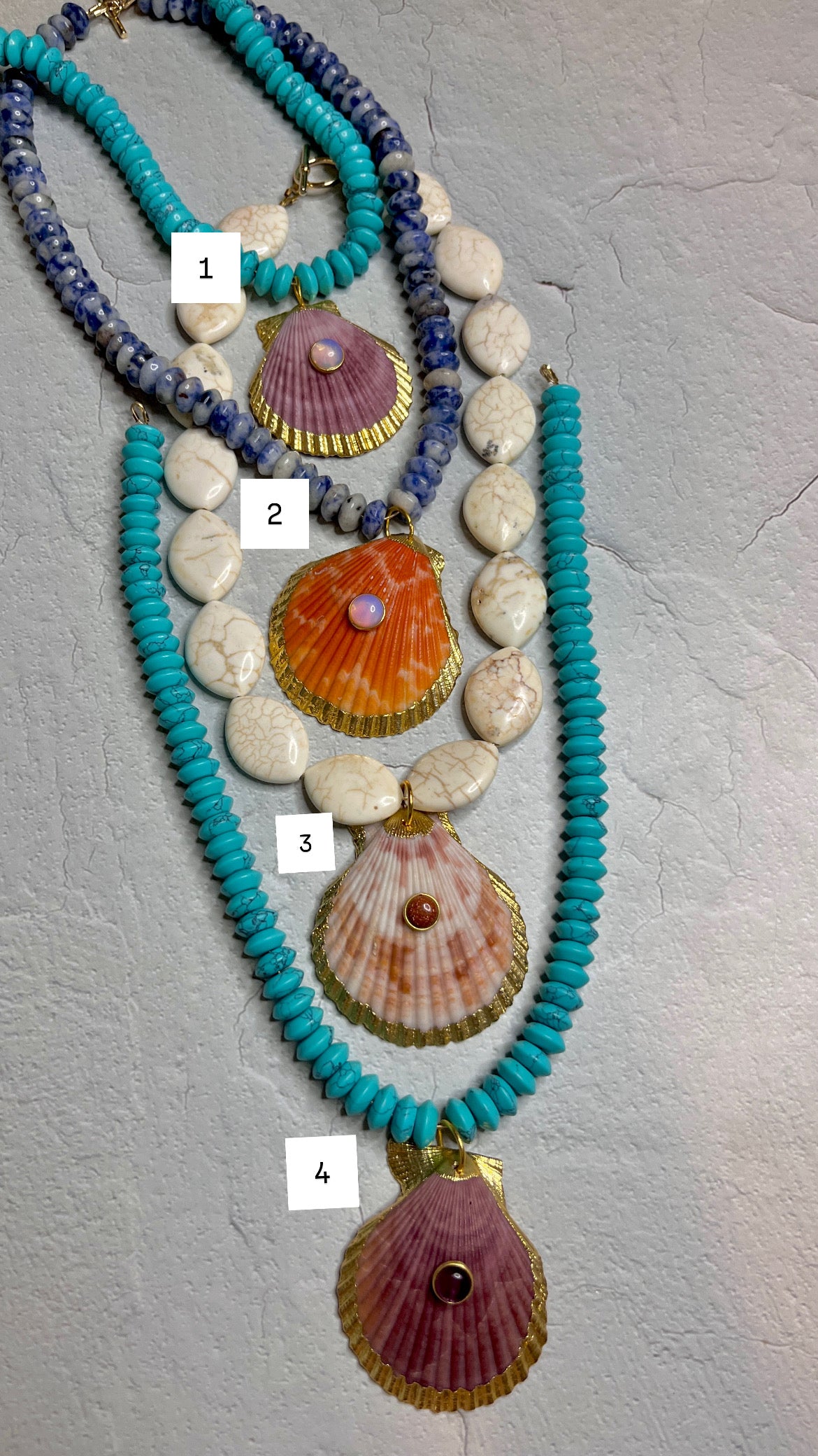 Colorful Shells