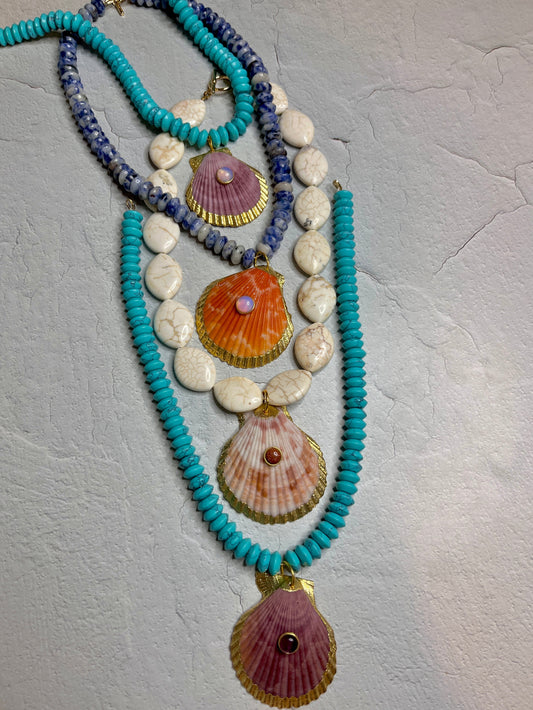 Colorful Shells