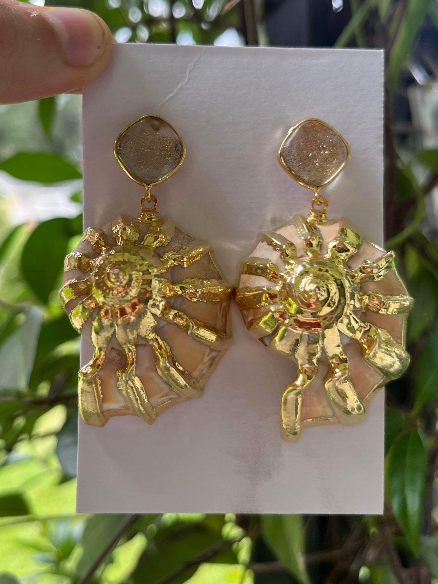 Spiral Shell Earrings