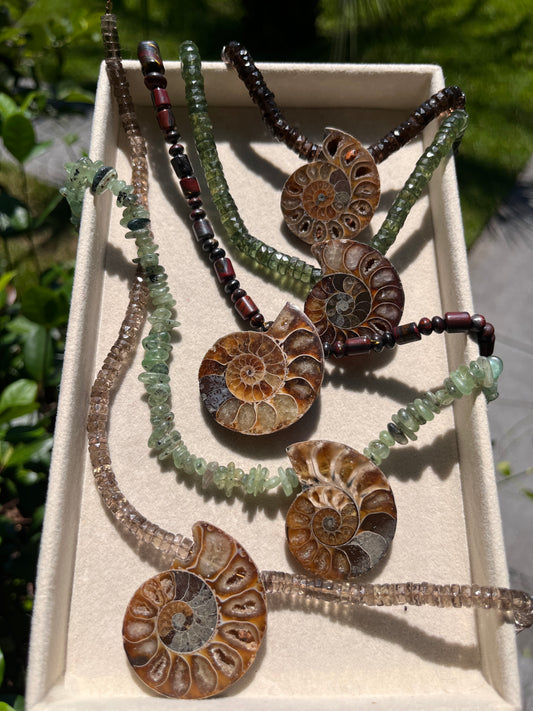 Nautilus Collection