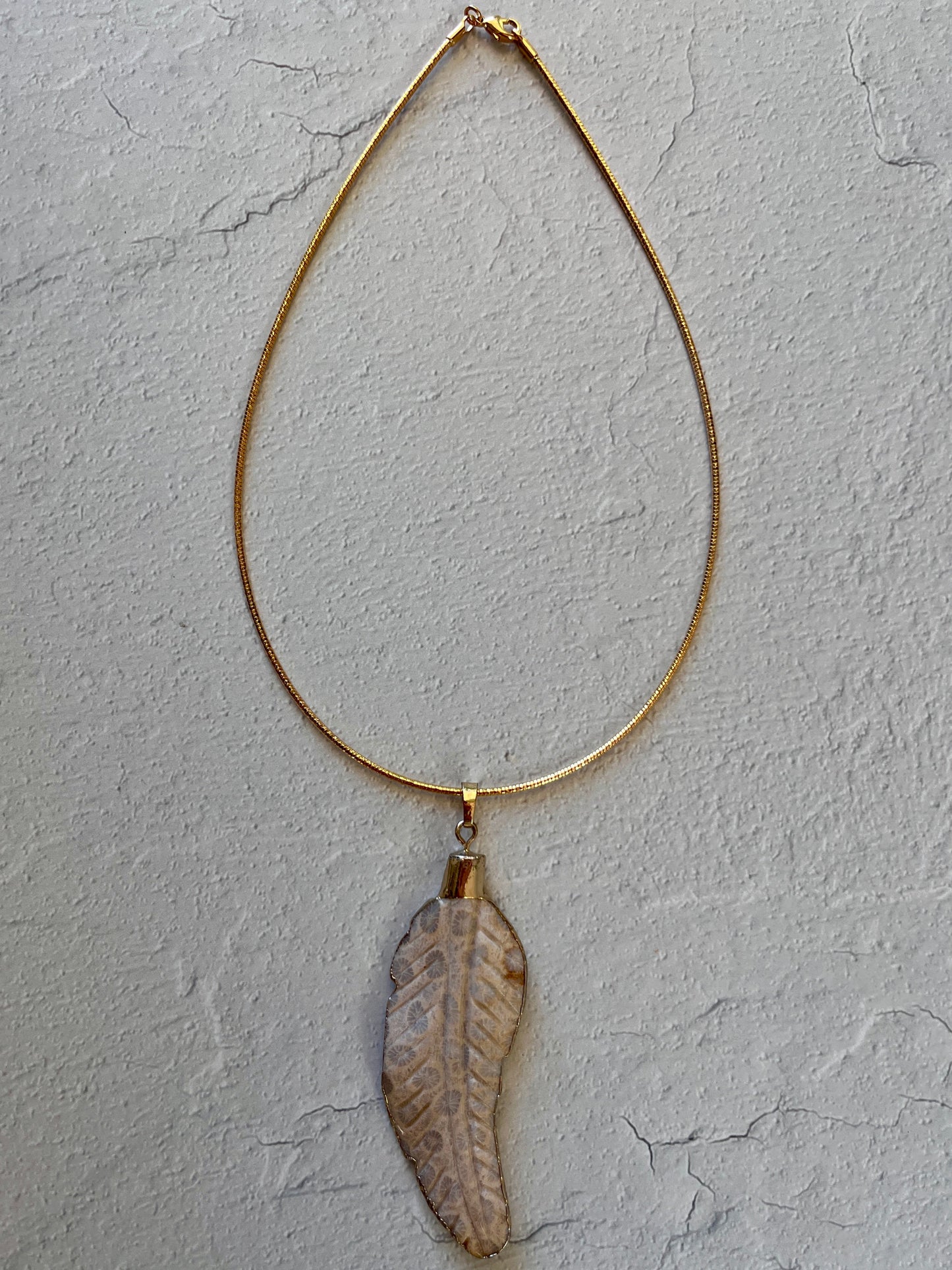 Coral Carved Feather on 15.5" Cord