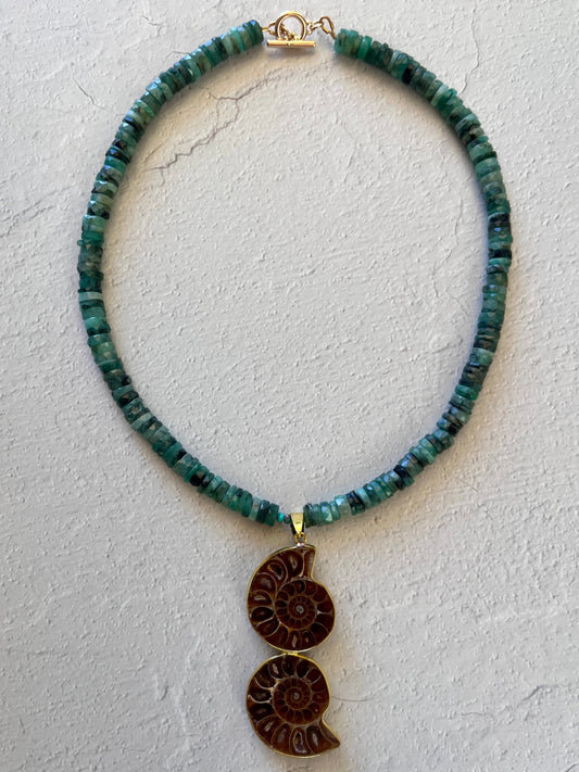 Turquoise + Nautilus