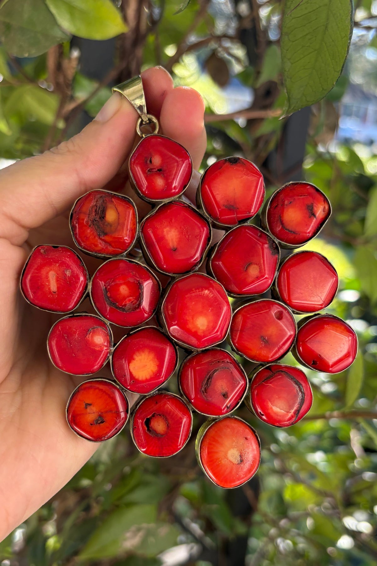 Coral Charm