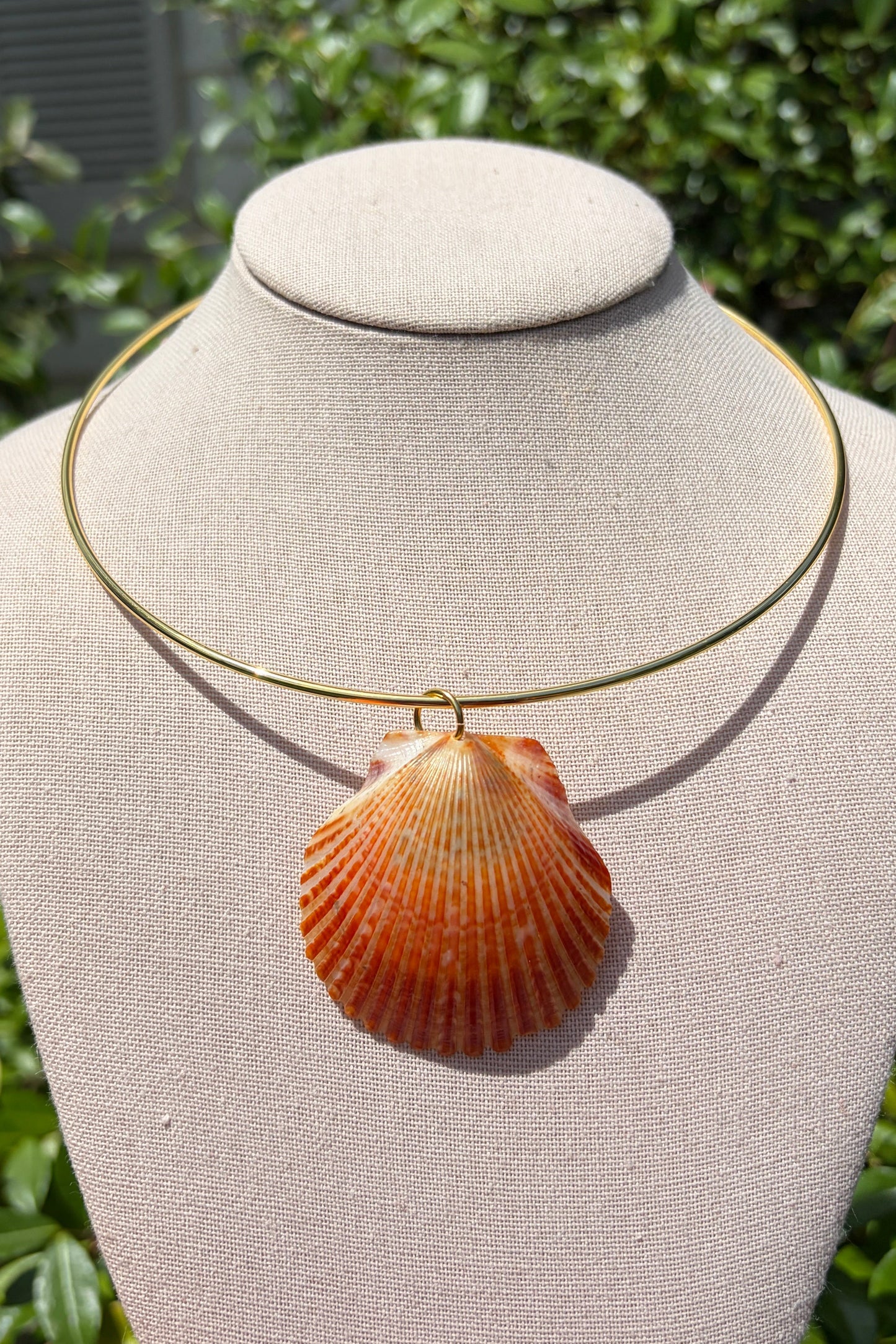 Shell + Gold Collar