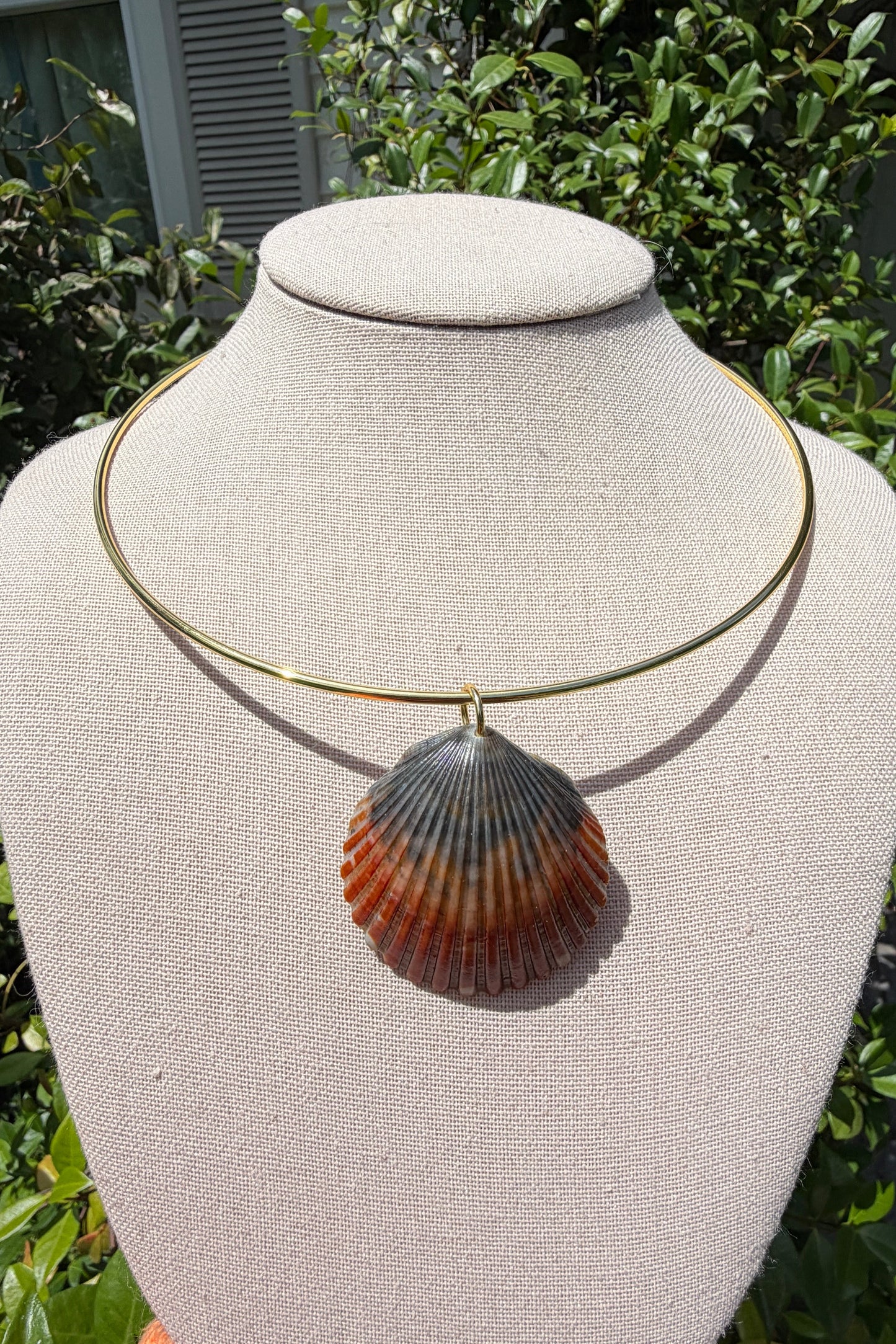 Shell + Gold Collar
