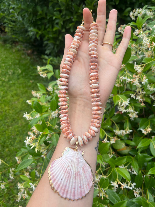Jasper + Shell