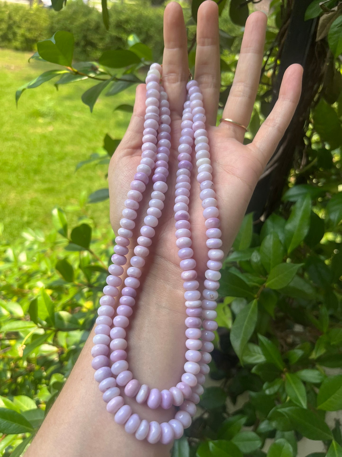 Powder Pink Candy