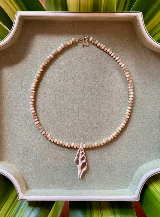 Mother Of Pearl + Shell